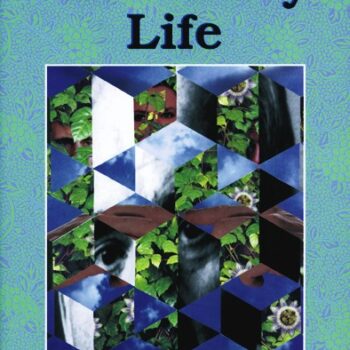 An Orderly Life