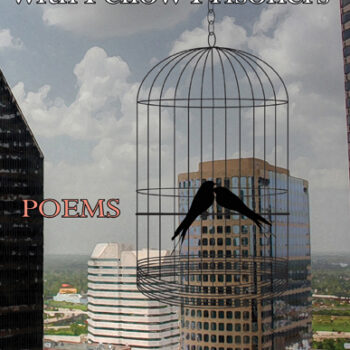 Falling in Love with Fellow Prisoners: Poems