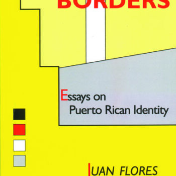 Divided Borders: Essays on Puerto Rican Identity